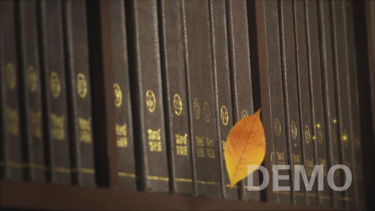 1645770941653886.jpg 1.jpg