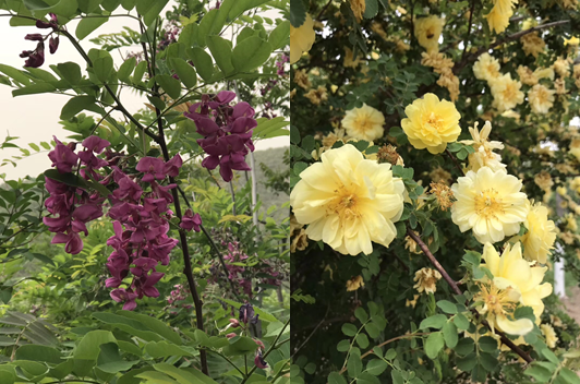 1646015687715241.png 3.png