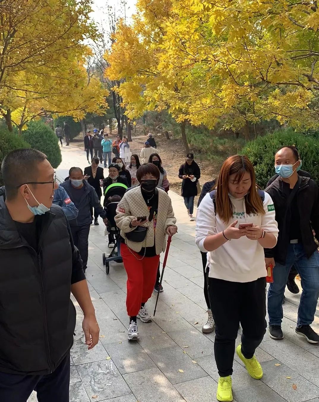 1667354014643817.jpg 7f276268790bfae019a66c57c9acec9b.jpg